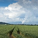 31 Fotozirkel Mannheim e.V. Barbara Giersch